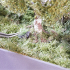 Noch 06910 PROFI-Grasbüschel “trockenes Gras” | Bild 4