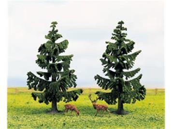 NOCH 2 Nordmanntannen