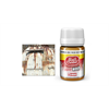 AMMO R-2001 Rail Center Frischer Rost, Wash, 35 ml