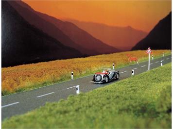 Busch 7081 Asphaltstrasse - Z (1:220)