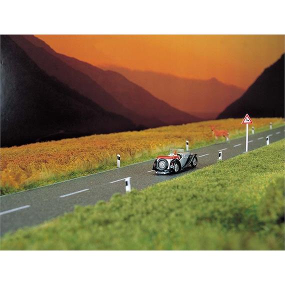 Busch 7081 Asphaltstrasse - Z (1:220)