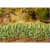 Faller 181250 36 Maispflanzen