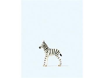 Preiser 29504 junges Zebra HO