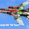 Revell 03769 Panavia Tornado IDS "50 Years" - Massstab 1:48 | Bild 6