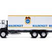 ACE 002390 Saurer D250B F6x4 Frigo Haldengut - H0 (1:87) | Bild 6