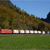 Bemo 2269 110 RhB Lb-v 7860 mit Coop-Container "Champignons" - H0m (1:87) | Bild 2