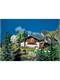 Faller 130287 Berg-Haus (Swiss Edition)