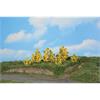 HEKI 11800 6 Forsythiensträucher, 3 - 6 cm