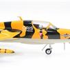 ACE J-4206 Hunter Mk 68 Trainer "HB-RVV Tigerpaint Version Altenrhein" | Bild 3