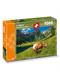 Carta.Media 7267 Puzzle Seealpsee Appenzell- Innerrhoden (1000 tlg.)