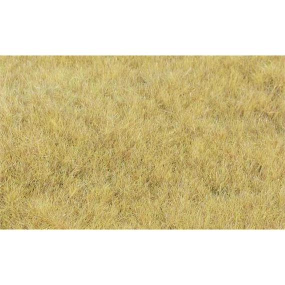 HEKI 33543 Grasfaser Willdgras Heuwiese, 75 g