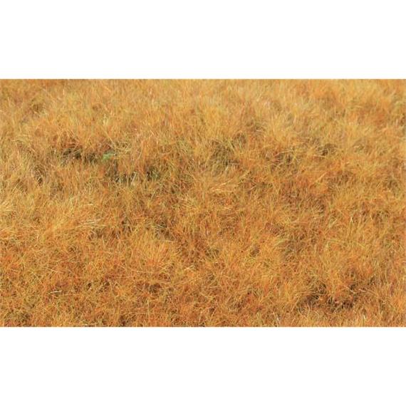 HEKI 33544 Grasfaser Willdgras Frühherbst, 75 g