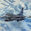 Revell 03844 Lockheed Martin F-16D Tigermeet 2014 - Massstab 1:72 | Bild 2