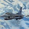 Revell 03844 Lockheed Martin F-16D Tigermeet 2014 - Massstab 1:72 | Bild 2