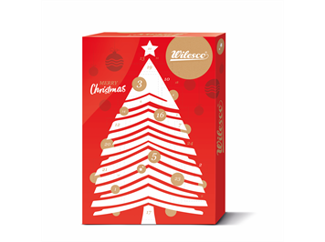 Wilesco 00005/1 D5/1 Adventskalender von Wilesco - Dampfmaschinen Bausatz D5